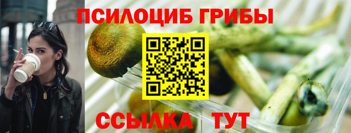 Галлюциногенные грибы Magic Shrooms Стрежевой